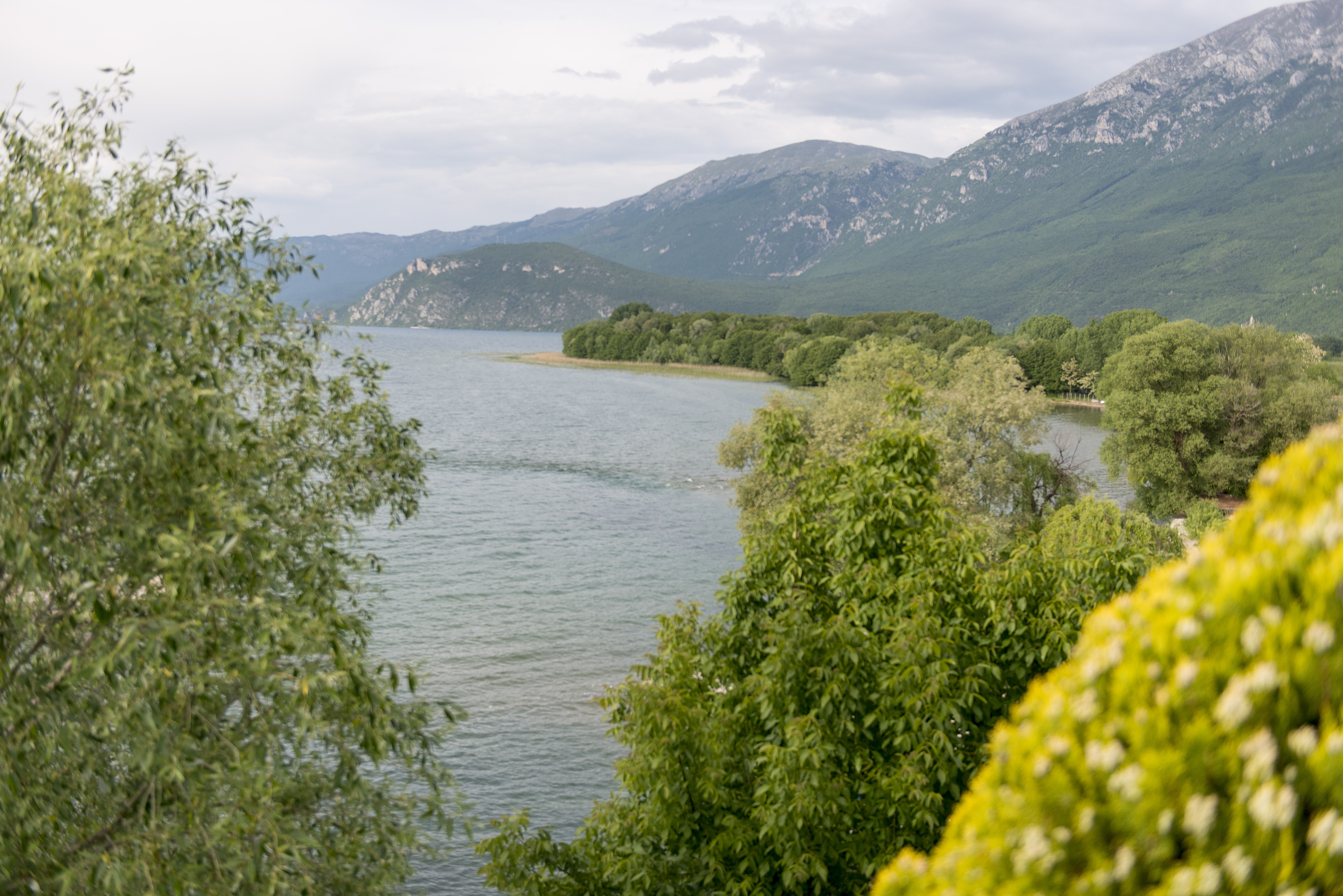 Uitzicht op groen, bergen en meer