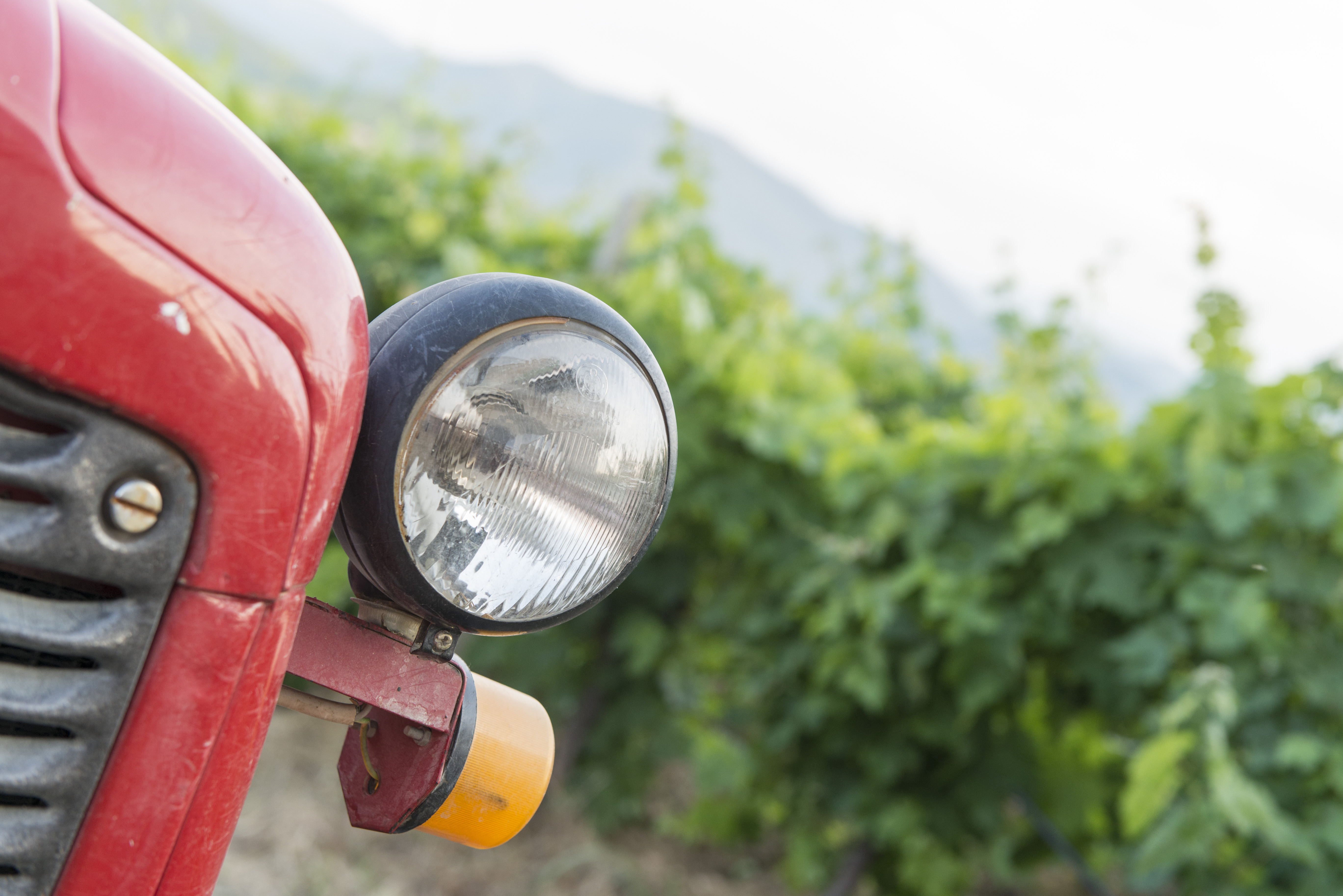 Koplamp van rode auto close-up